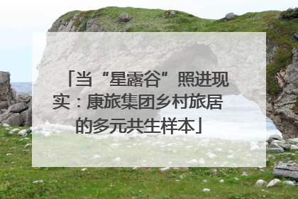 当“星露谷”照进现实：康旅集团乡村旅居的多元共生样本