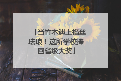 当竹木遇上掐丝珐琅！这所学校捧回省级大奖
