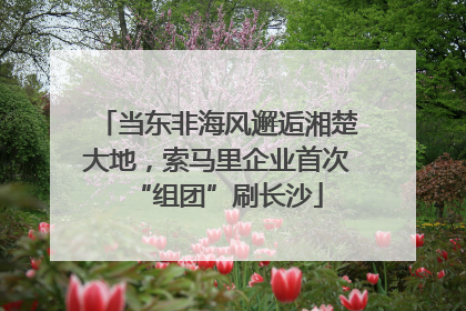 当东非海风邂逅湘楚大地，索马里企业首次“组团”刷长沙