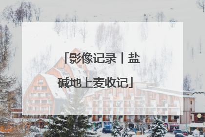 影像记录丨盐碱地上麦收记