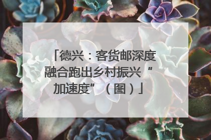 德兴：客货邮深度融合跑出乡村振兴“加速度”（图）