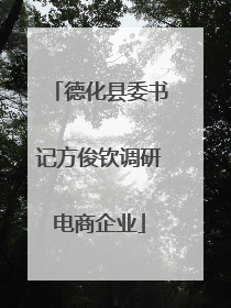 德化县委书记方俊钦调研电商企业