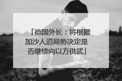 德国外长：将根据加沙人道局势决定是否继续向以方供武