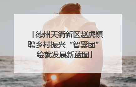 德州天衢新区赵虎镇聘乡村振兴“智囊团” 绘就发展新蓝图