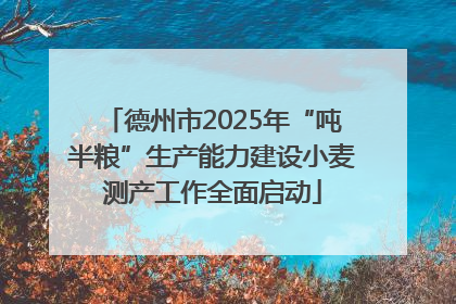 德州市2025年“吨半粮”生产能力建设小麦测产工作全面启动