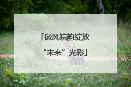 徽风皖韵绽放“未来”光彩