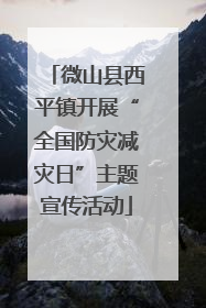 微山县西平镇开展“全国防灾减灾日”主题宣传活动