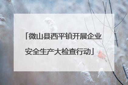 微山县西平镇开展企业安全生产大检查行动