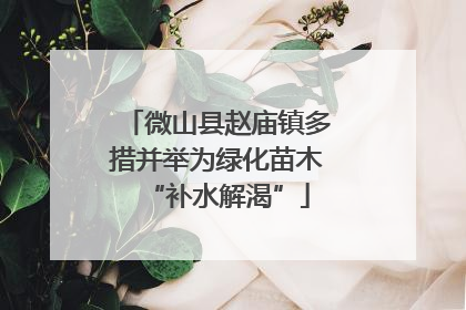 微山县赵庙镇多措并举为绿化苗木“补水解渴”