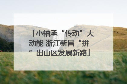 小轴承“传动”大动能 浙江新昌“拼”出山区发展新路