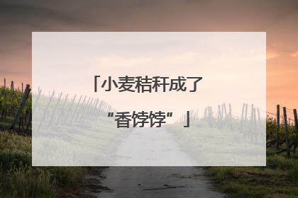 小麦秸秆成了“香饽饽”