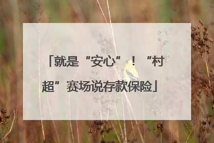 就是“安心”！“村超”赛场说存款保险