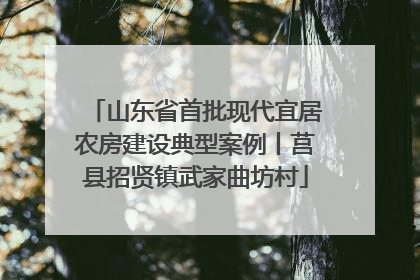 山东省首批现代宜居农房建设典型案例丨莒县招贤镇武家曲坊村