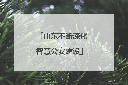 山东不断深化智慧公安建设