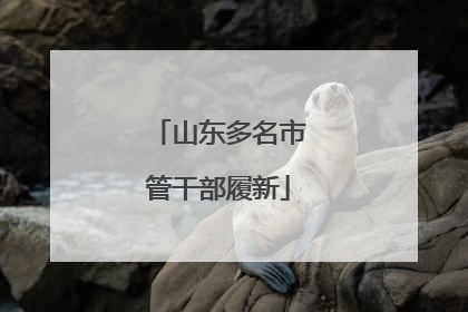山东多名市管干部履新
