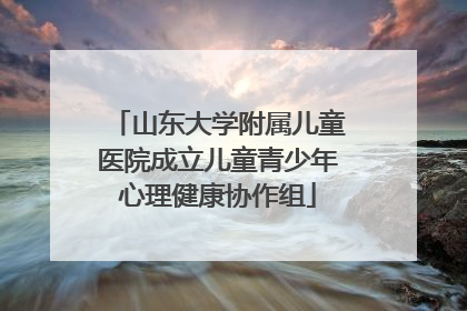 山东大学附属儿童医院成立儿童青少年心理健康协作组