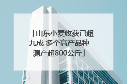 山东小麦收获已超九成 多个高产品种测产超800公斤