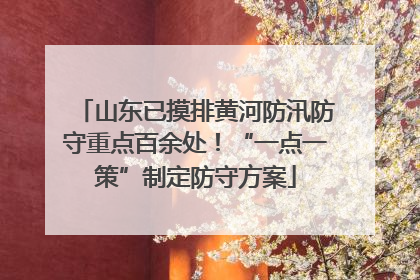 山东已摸排黄河防汛防守重点百余处！“一点一策”制定防守方案