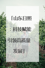 山东日照：科技赋能引领高质量发展