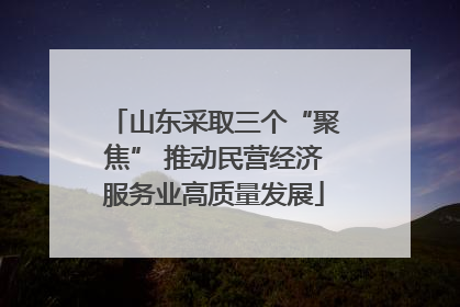 山东采取三个“聚焦” 推动民营经济服务业高质量发展