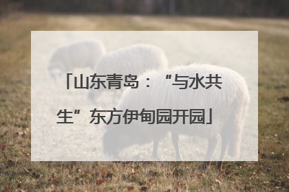 山东青岛：“与水共生”东方伊甸园开园