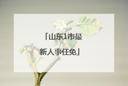 山东1市最新人事任免