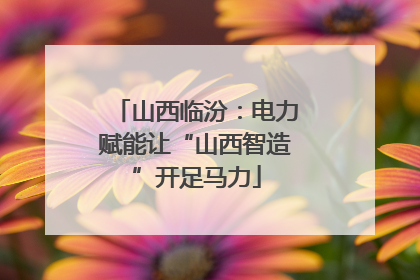 山西临汾：电力赋能让“山西智造”开足马力