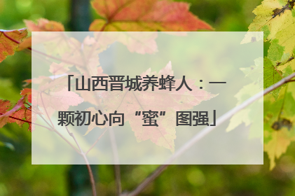 山西晋城养蜂人：一颗初心向“蜜”图强