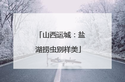山西运城：盐湖捞虫别样美