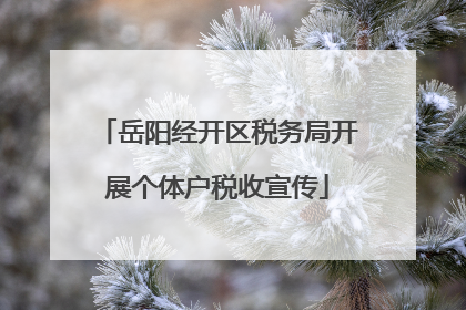 岳阳经开区税务局开展个体户税收宣传