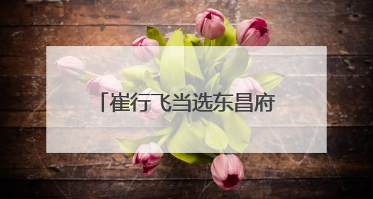 崔行飞当选东昌府区人民政府区长