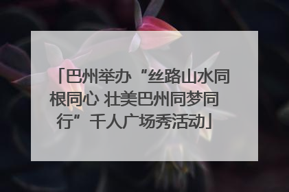 巴州举办“丝路山水同根同心 壮美巴州同梦同行”千人广场秀活动