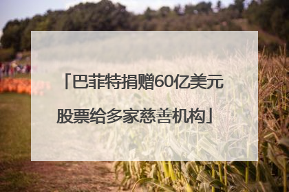 巴菲特捐赠60亿美元股票给多家慈善机构