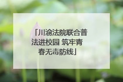 川渝法院联合普法进校园 筑牢青春无毒防线
