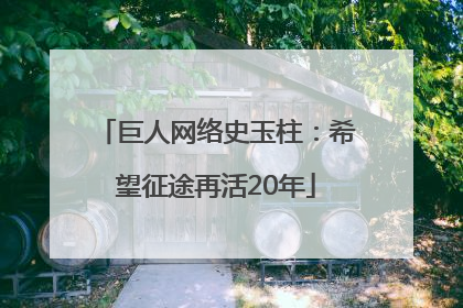 巨人网络史玉柱：希望征途再活20年