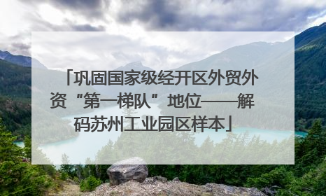 巩固国家级经开区外贸外资“第一梯队”地位——解码苏州工业园区样本