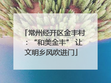 常州经开区金丰村：“和美金丰” 让文明乡风吹进门