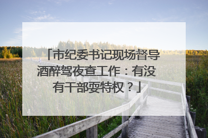 市纪委书记现场督导酒醉驾夜查工作：有没有干部耍特权？