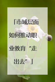 市域层面如何推动职业教育“走出去”
