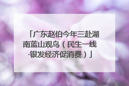 广东赵伯今年三赴湖南蓝山观鸟（民生一线·银发经济促消费）