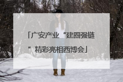 广安产业“建圈强链”精彩亮相西博会