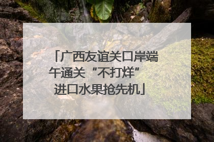 广西友谊关口岸端午通关“不打烊” 进口水果抢先机