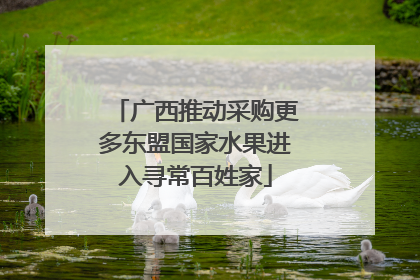 广西推动采购更多东盟国家水果进入寻常百姓家