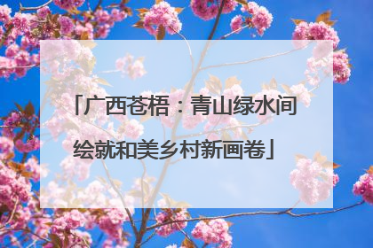 广西苍梧：青山绿水间绘就和美乡村新画卷