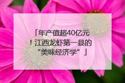 年产值超40亿元！江西龙虾第一县的“美味经济学”