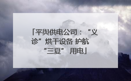 平舆供电公司：“义诊”烘干设备 护航 “三夏” 用电