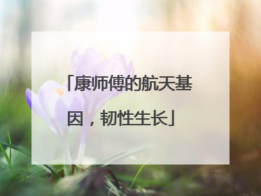 康师傅的航天基因，韧性生长