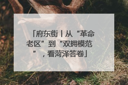 府东街丨从“革命老区”到“双拥模范”，看菏泽答卷