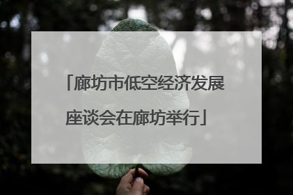 廊坊市低空经济发展座谈会在廊坊举行