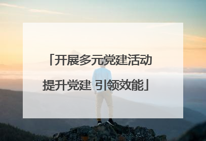 开展多元党建活动 提升党建 引领效能